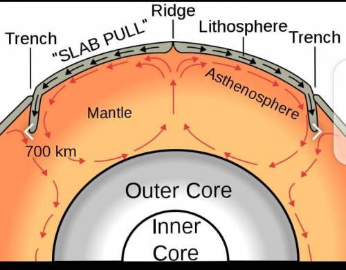 Lithospheric plates are . a. floating on the asthenosphere b. moved by convection currents in the ma