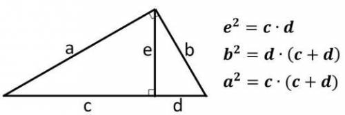I need to know the value of x in this triangle Find x .