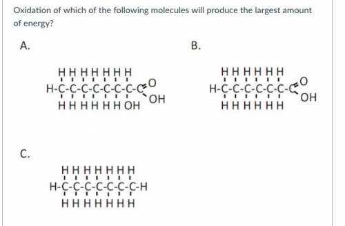 Oxidation of what molecules will produce the largest amount of energy?