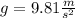 g = 9.81 \frac{m}{s^{2}}