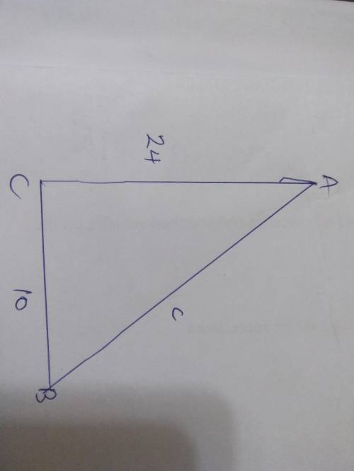 Consider the triangle. Right triangle A B C. Side A C is 24 centimeters, C B is 10 centimeters, and