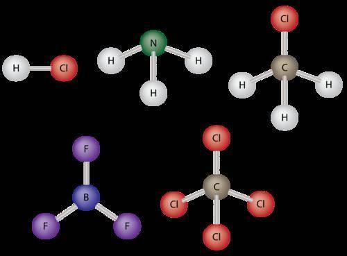 How do models help scientists predict the polarity of molecules?