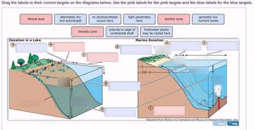Zones in lakes and oceans are delineated by depth, distance from shore, or light penetration. Differ
