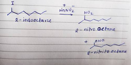 Sodium nitrite (NaNO2)reacted with 2−iodooctane to give a mixture of two constitutionally isomeric c