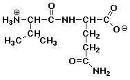 The two amino acids, glycine and alanine, can form two different dipeptides. Draw one of the possibl