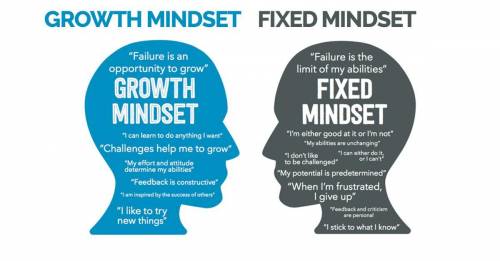 A person with a fixed mindset would most likely display which of the following characteristics?A. Ta