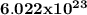 \bold { 6.022 x 10^2^3}