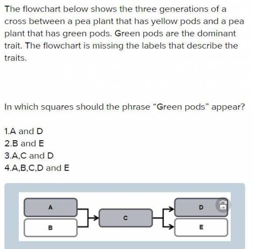 The flowchart below shows the three generations of a cross between a pea plant that has yellow pods