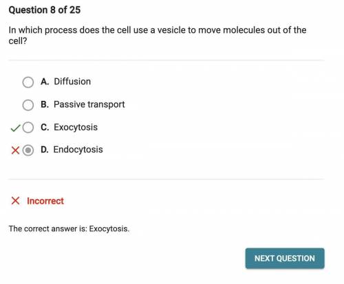 In which process does the cell use a vesicle to move molecules out of the cell? O A. Diffusion B. Ex