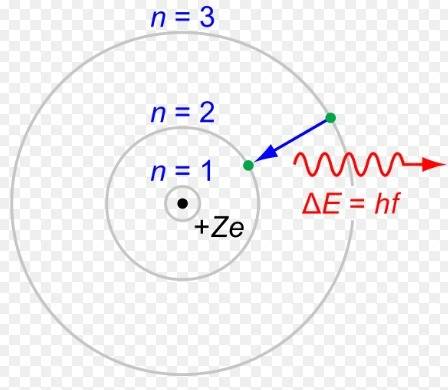 What does the bohr model look like?