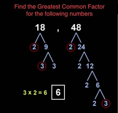 Find the greatest common factor of 18 and 48 .