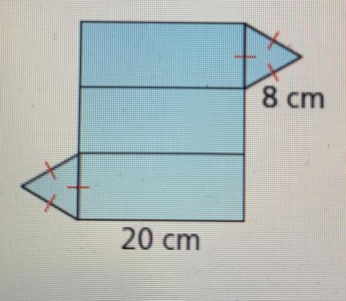 Find the surface area of the solid formed by the net. Round your answer to the nearest hundredth.