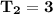 \mathbf{T_2 =3 }