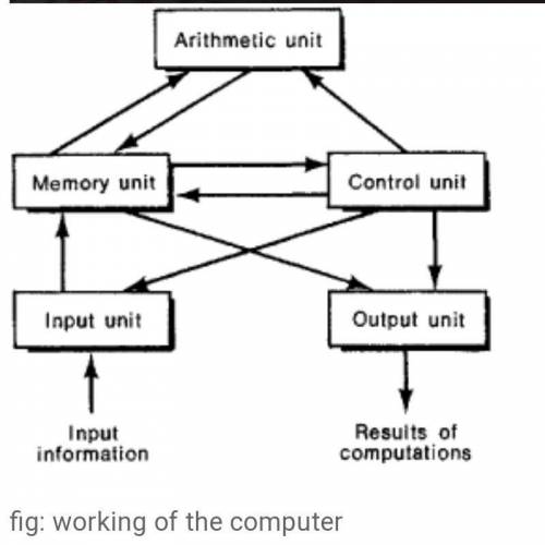 What are the working principals of computer​