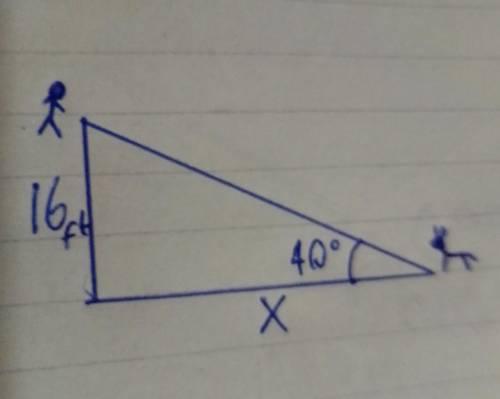 From the hay loft door, Ted sees his dog on the ground. The angle of depression of the dog is 40º. T