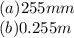 (a)255mm \\ (b)0.255m