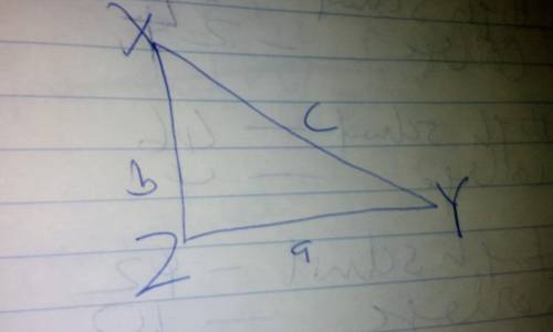 Given right triangle XYZ, which correctly describes the

locations of the sides in relation to _Y?
a