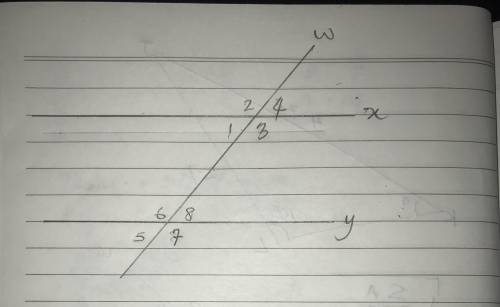 Two parallel lines are crossed by a transversal. Parallel lines x and y are cut by transversal w. On
