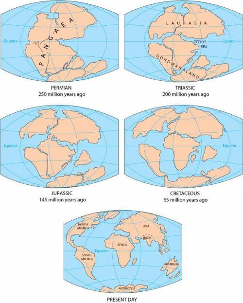 Which two large landmasses formed when Pangaea first started to separate?

Africa and Europe
Europe