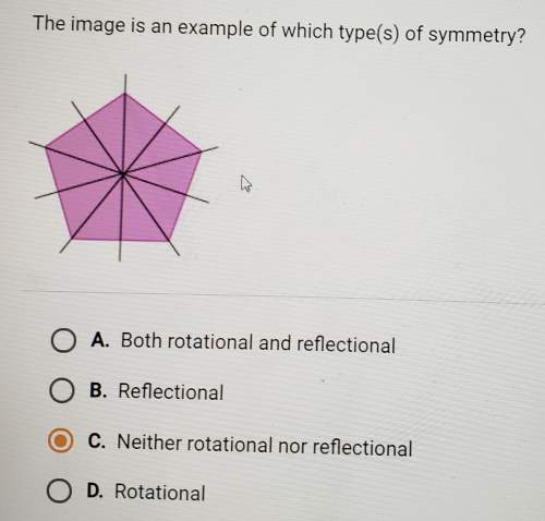 The image is an example of which type(s) of symmetry