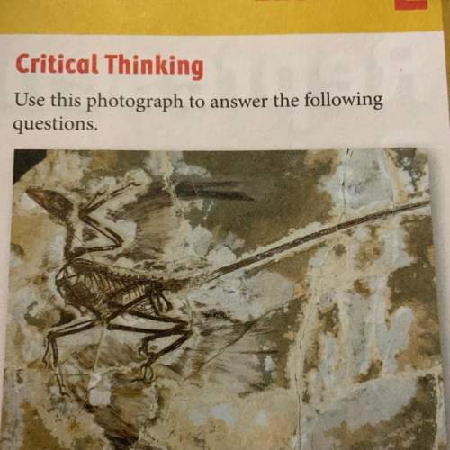 Record your observation about the fossil photograph. be sure to include as much detail as you can ob