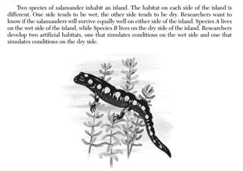 "two species of salamander inhabit an island. the habitat on each side of the island is different. o