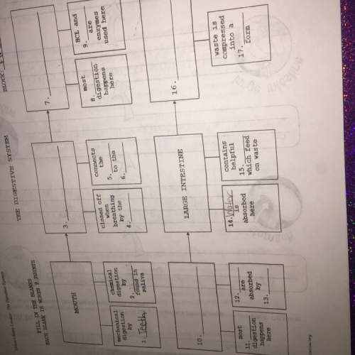 Ineed asap if you can me with this whole sheet !  ( this is science 7th grade homewor