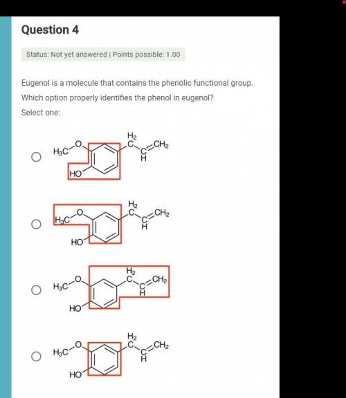 Eugenol is a molecule that contains the phenolic functional group. Which option properly identifies