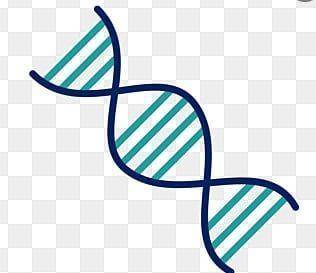 What process is similar in function to genetic engineering but different in the mechanism it uses? A