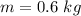 m  =  0.6 \ kg