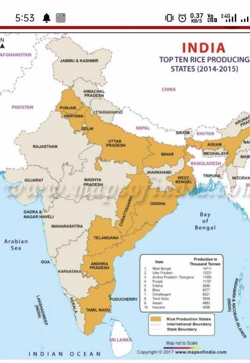 Mark the wheat and rice product in areas in the map of India

PLS MAKE AND SHOW ON THE MAP I will de