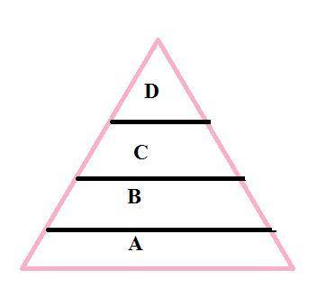 The diagram represents a food pyramid. The concentration of the pesticide DDT in individual

organis