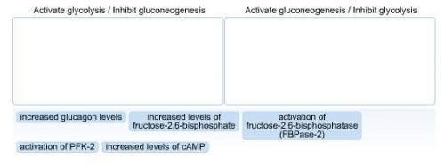 Fructose‑2,6‑bisphosphate is a regulator of both glycolysis and gluconeogenesis for the phosphofruct