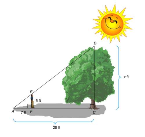 Pleass w this  the diagram shows 5 ft student standing near a tree. the shadow of the s