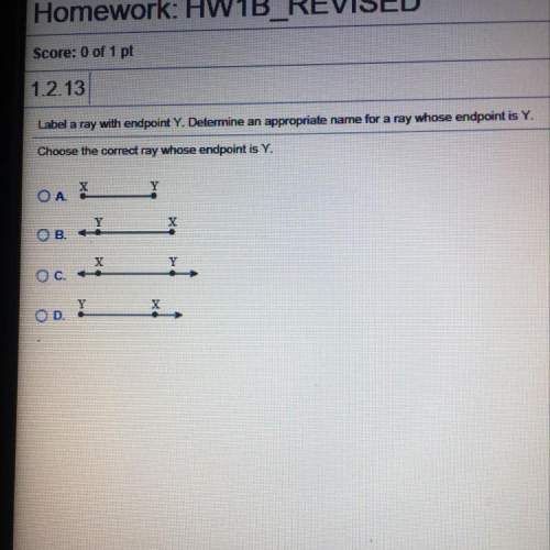 12 13 label a ray with endpoint y. determine an appropriate name for a ray whose endpoint is y