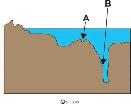 The diagram below shows some ocean floor features. the diagram shows some ocean floor fe