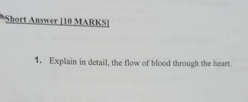 Explain in detail, the flow of blood through the heart. someone