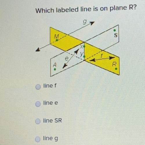Which labeled line is on plane r?  line f line e line sr line g&lt;