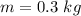 m  =  0.3 \  kg