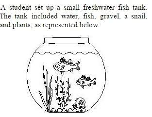 "which statement best describes an activity performed by a student investigating an abiotic factor u