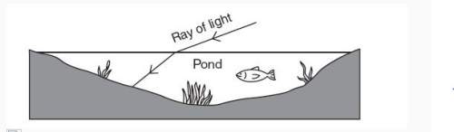 The diagram shows what occurs when a ray of light strikes and enters a pond. which prope