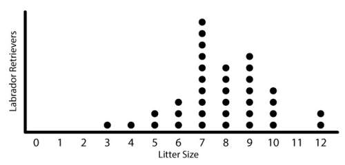 The following dot plot represents the litter sizes of a random sample of labrador retrievers.&lt;