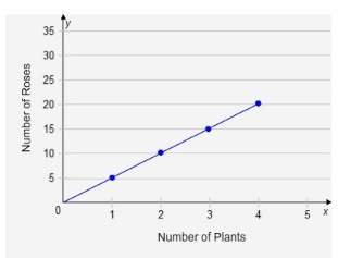 According to the graph, the relationship between the number of rose plants and the number of roses i