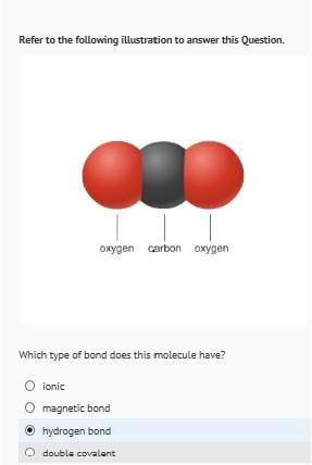 what type of bond does this molecule have?