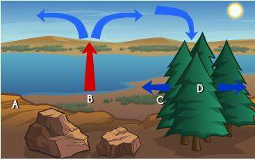 Which letter indicates a region of high pressure in the diagram below?  a. a b. b&lt;