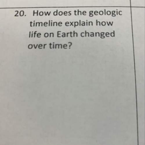 How does the geologic timeline explain how life on earth changed over time?