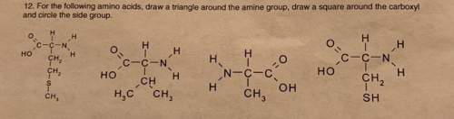 For the following amino acids, draw a triangle around the amine group, draw a square around the carb