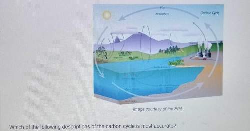 Which of the following descriptions of the carbon cycle is most accurate? a.it is an ope