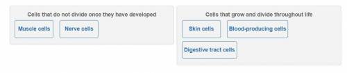 Humans and other animals regulate cell growth and cell division. Sort these cells by category:

Musc