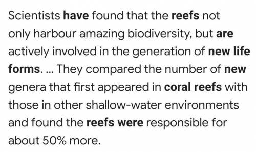 How did the evolution of call reefs affect the evolution of new life forms